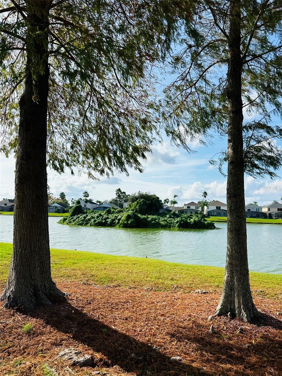 1049 LAKE BERKLEY DRIVE, Kissimmee, FL 34746