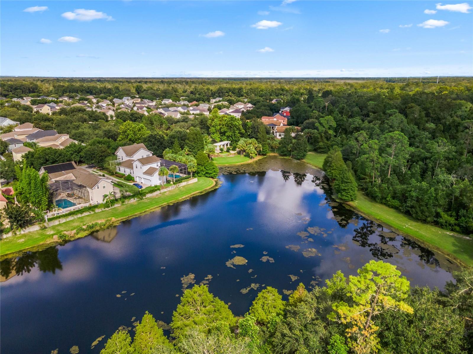 1102 GOLDENASTER COURT, Celebration, FL 34747