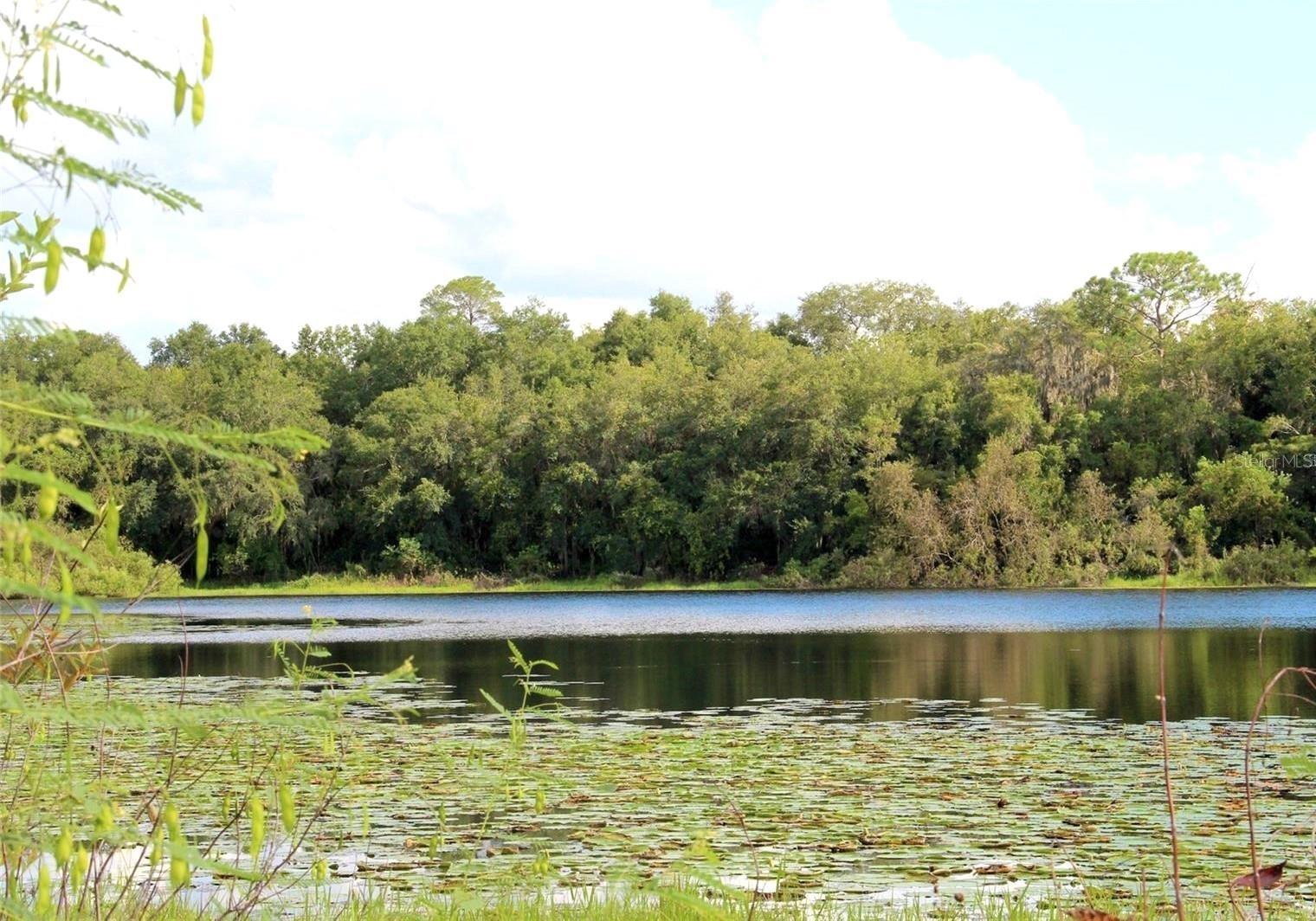 Foxwood Lake