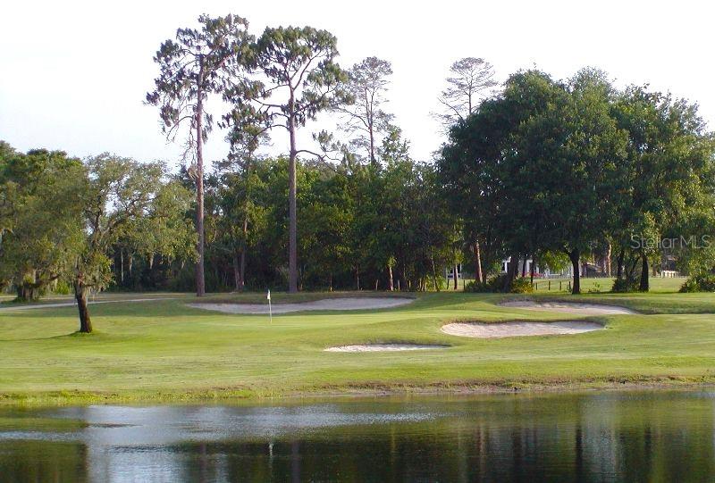 Wekiva Hunt Club Golf!