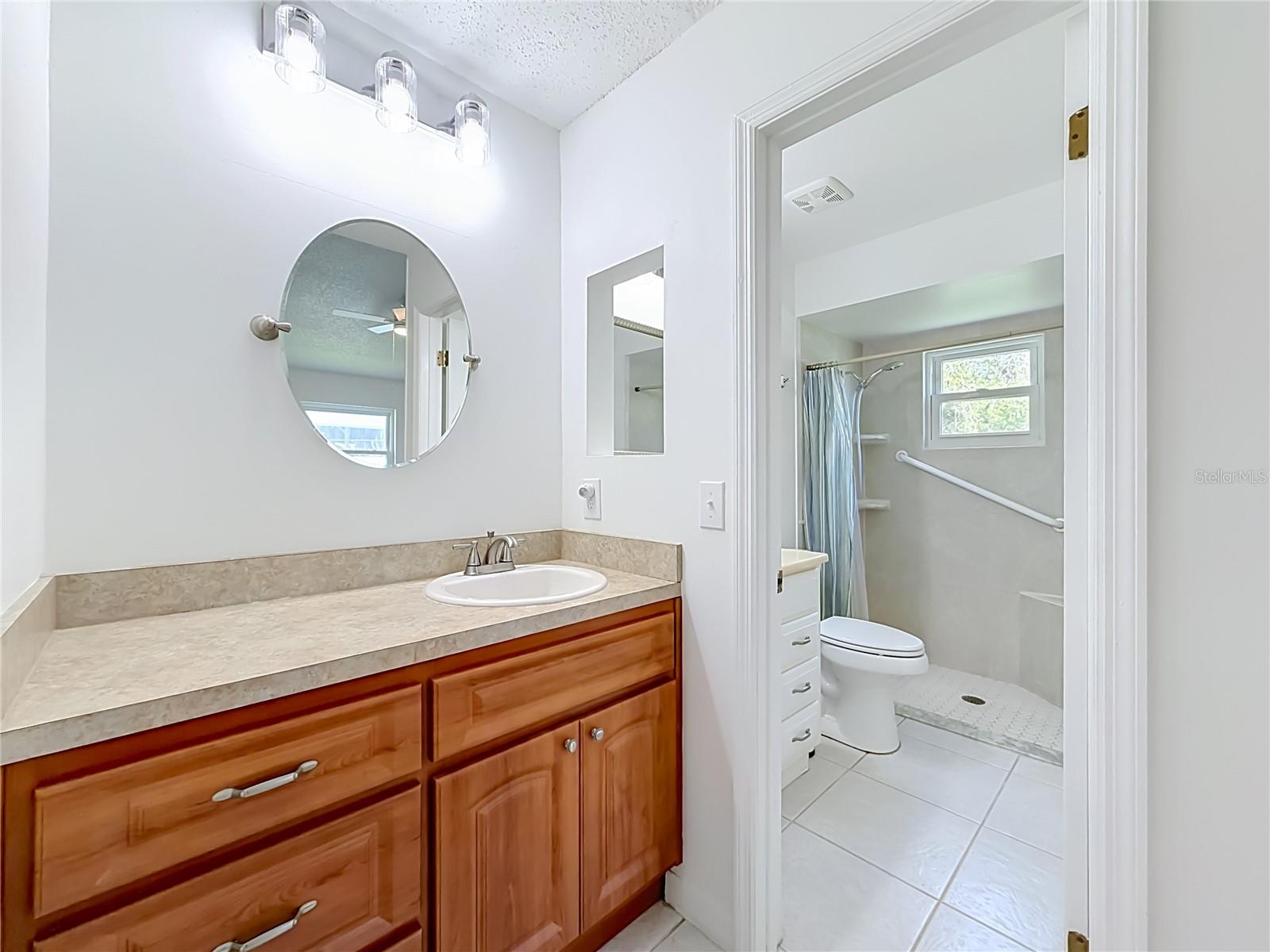 Primary Vanity/Bathroom