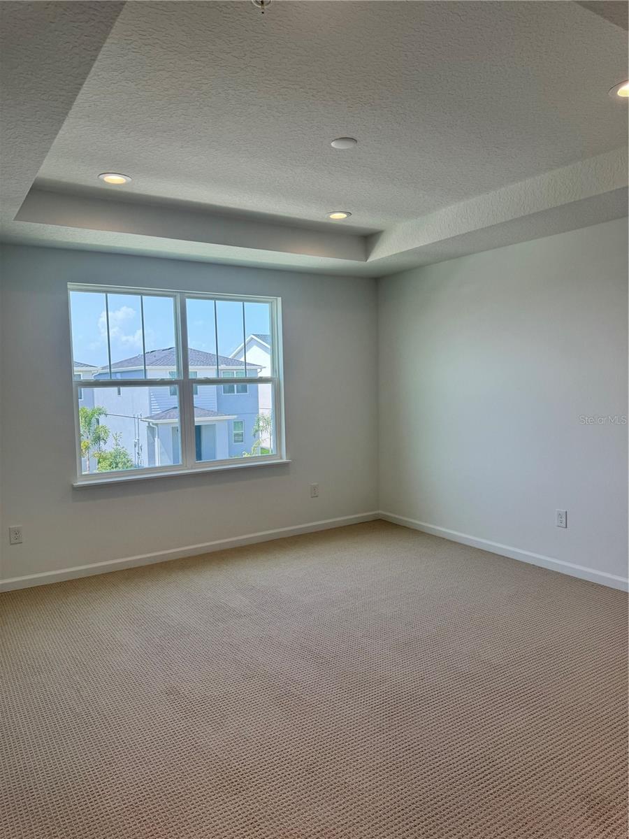Primary suite with tray ceilings
