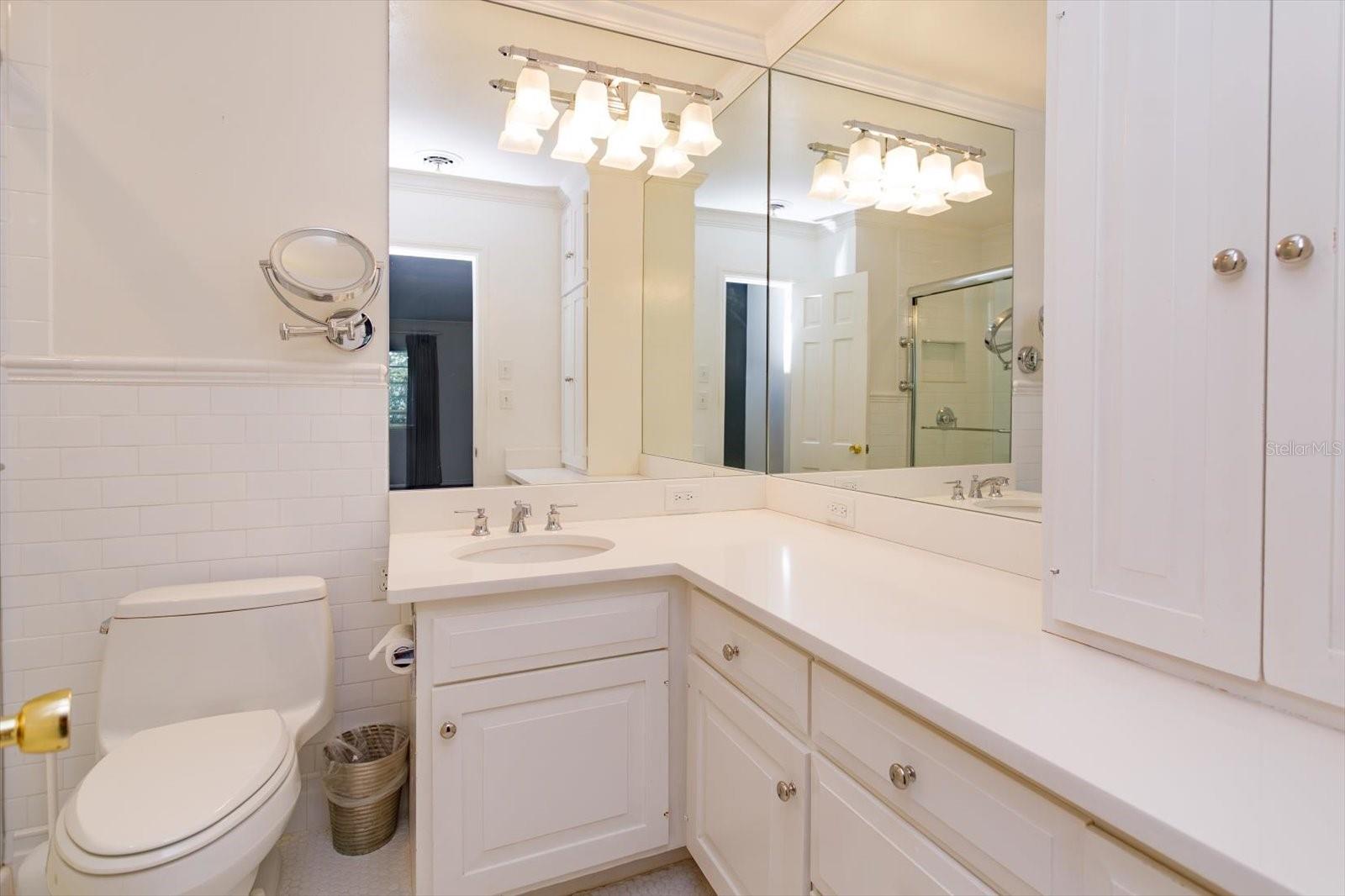 Primary Bath updated quartz counter, sink/faucet, W/C, custom cabinets