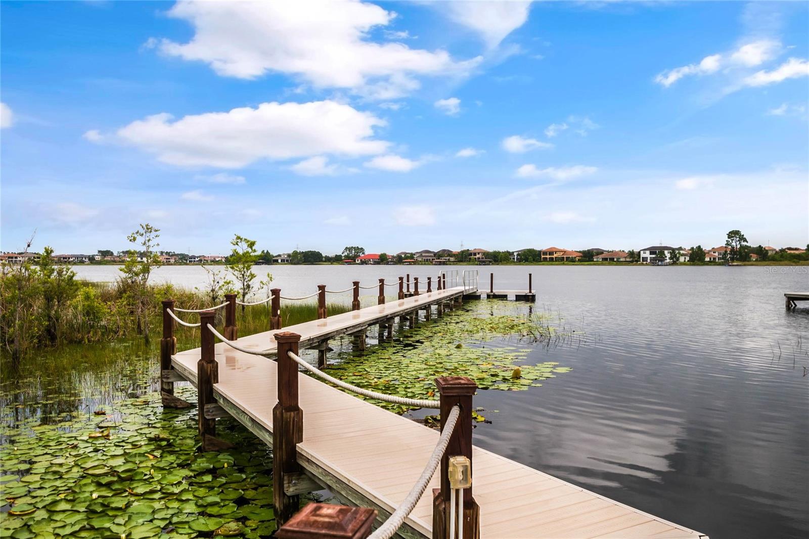8344 BOWDEN WAY, Windermere, FL 34786