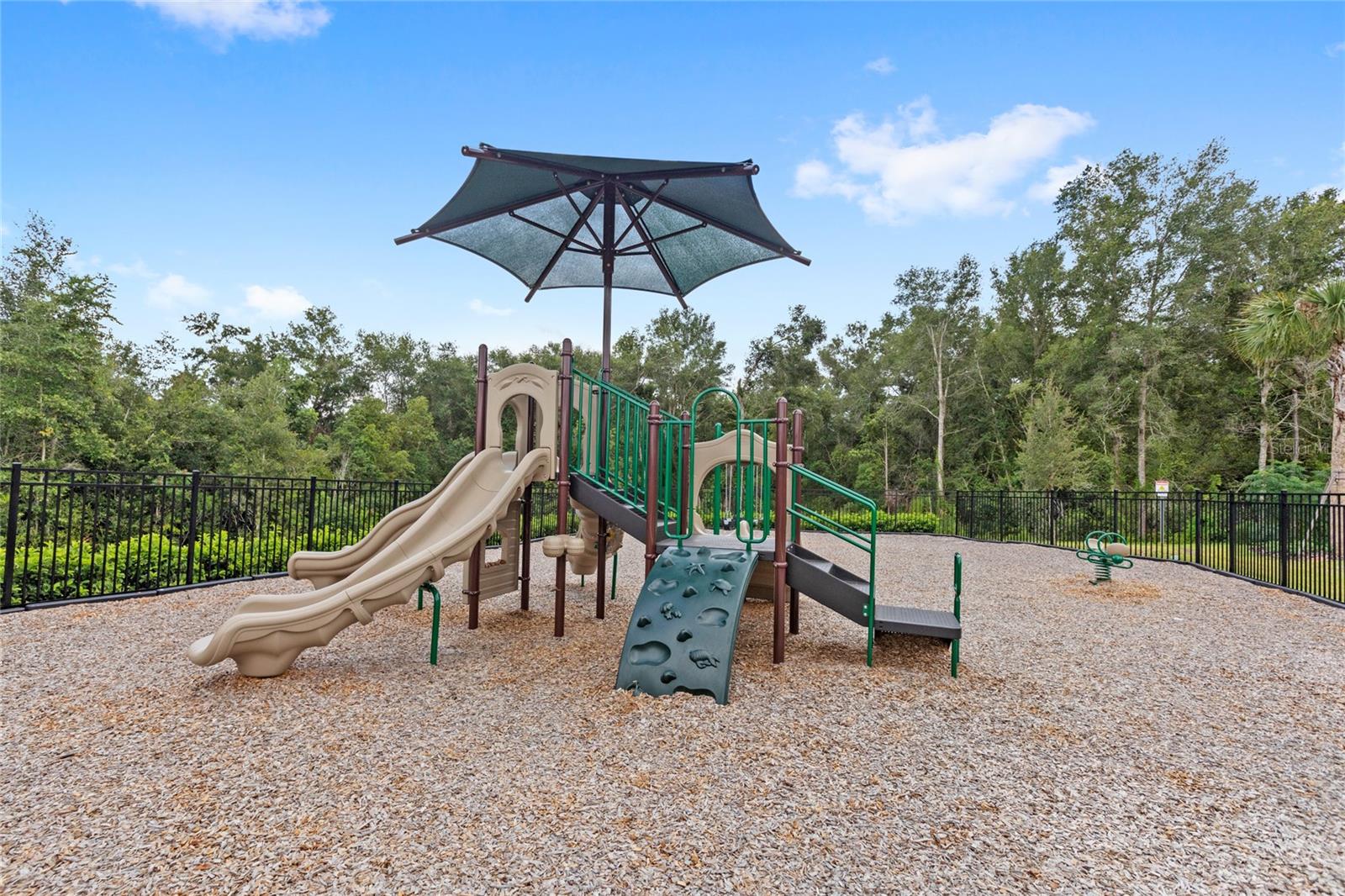5173 FOOTHILLS PRESERVE LOOP, Mount Dora, FL 32757
