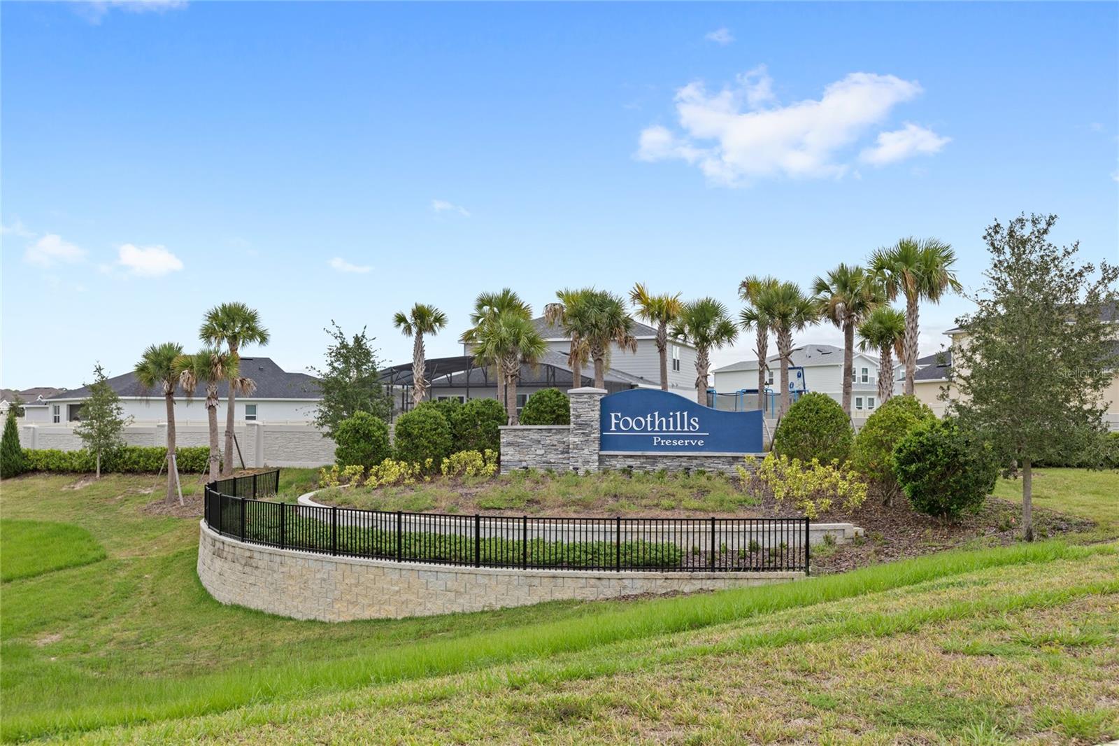5173 FOOTHILLS PRESERVE LOOP, Mount Dora, FL 32757