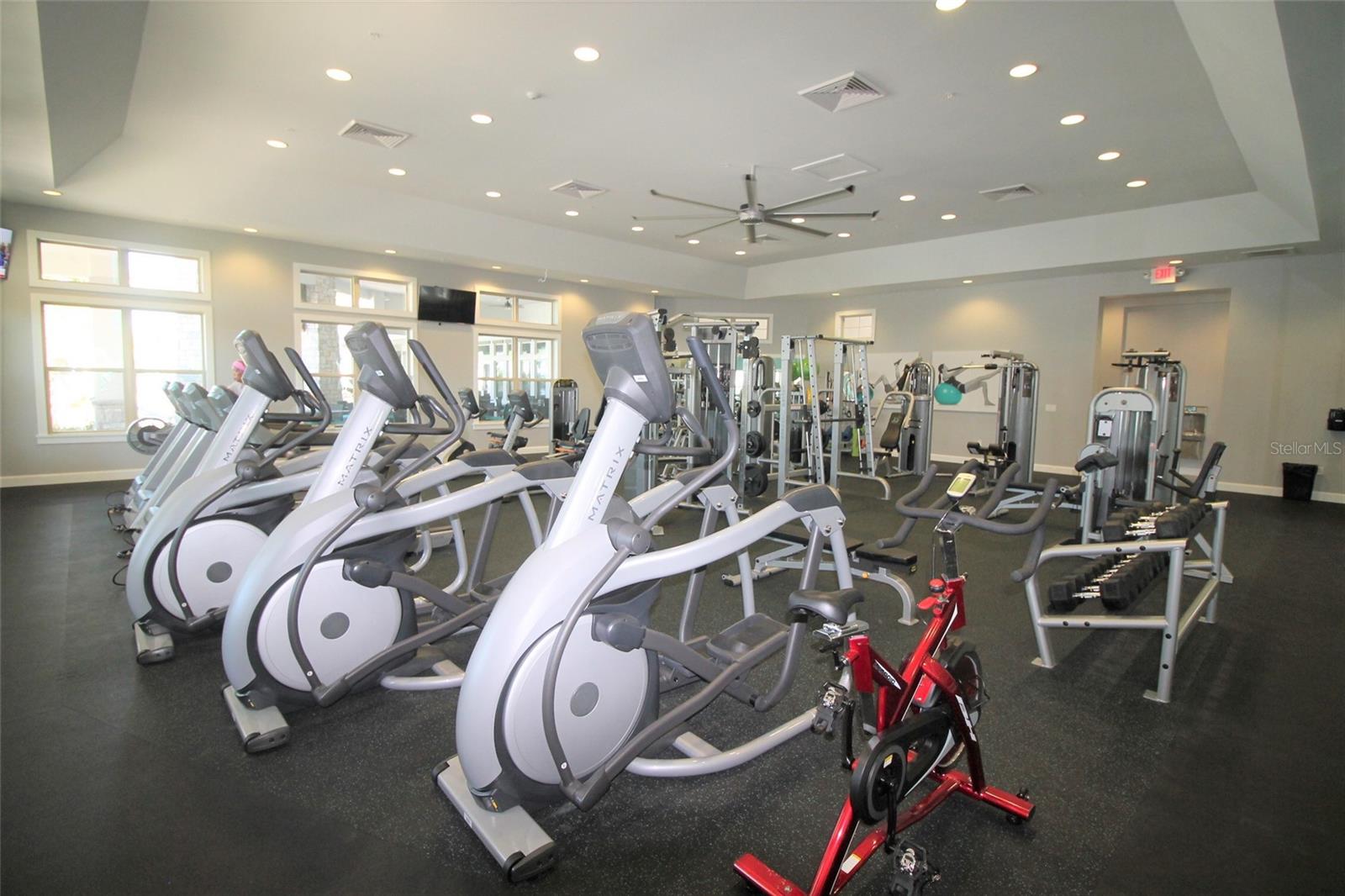 11031 JACKSON COVE, Winter Garden, FL 34787