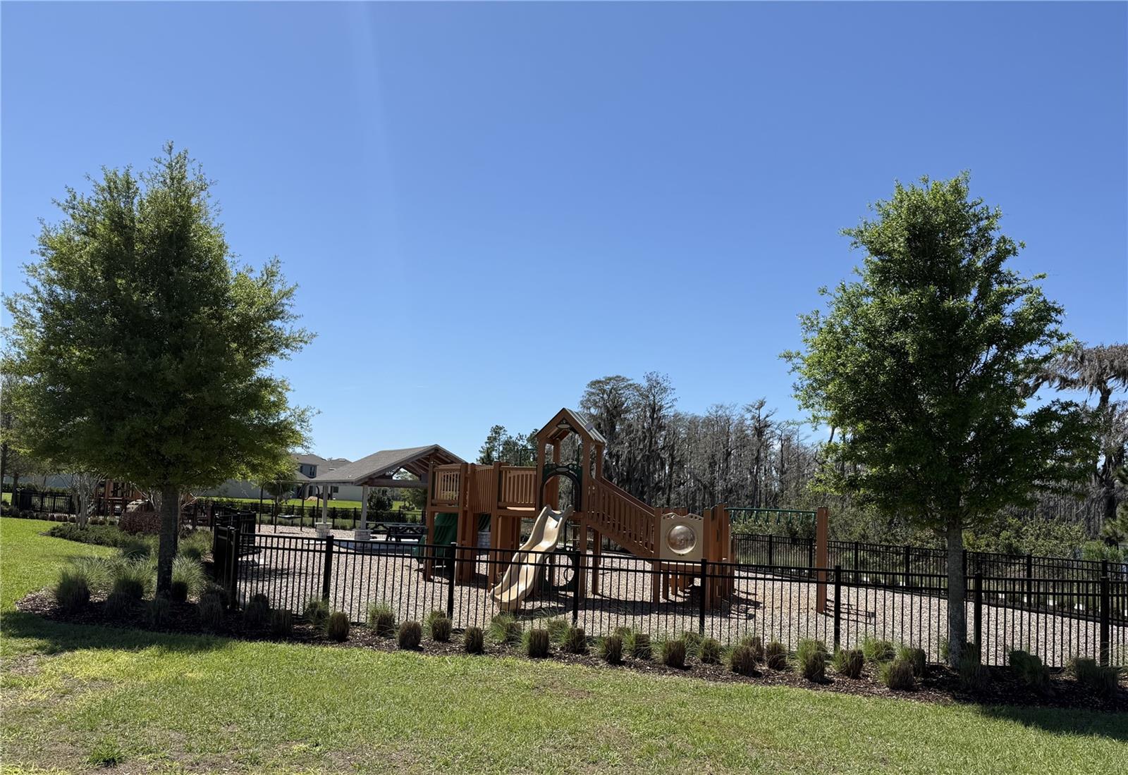 11031 JACKSON COVE, Winter Garden, FL 34787