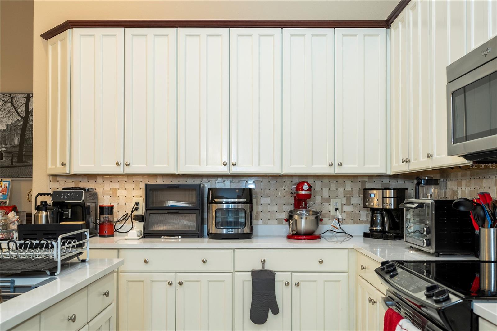 10301 OAKVIEW POINTE TERRACE, Gotha, FL 34734
