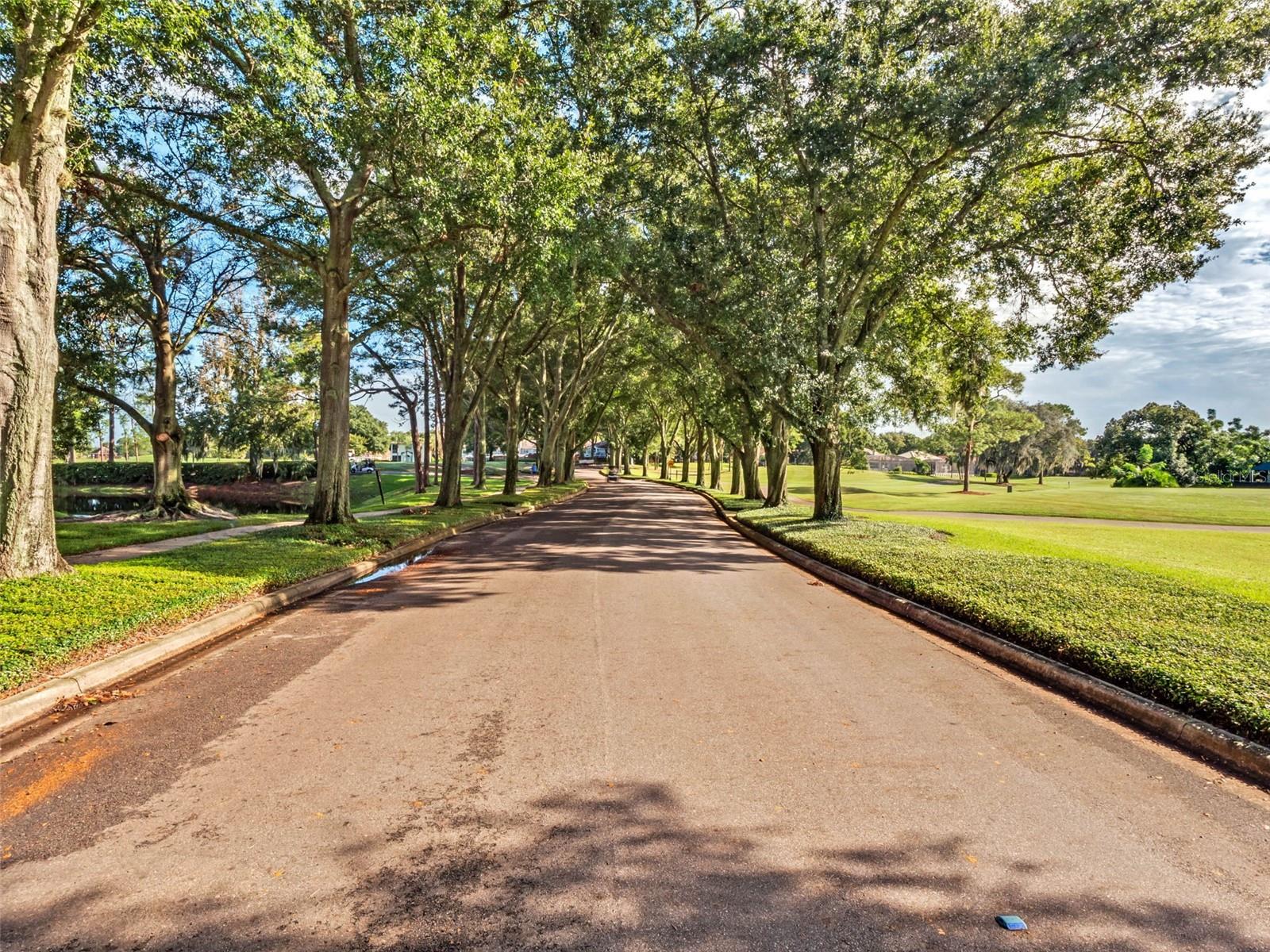 1535 CHERRY LAKE WAY, Lake Mary, FL 32746