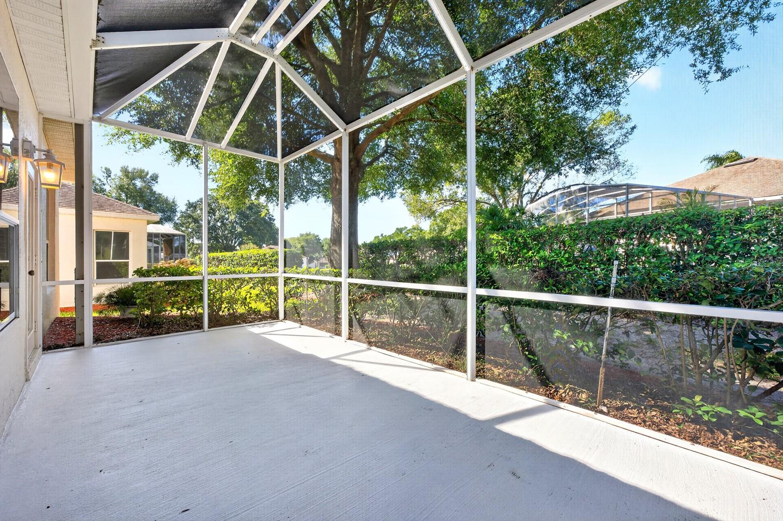 The back patio and screened lanai
