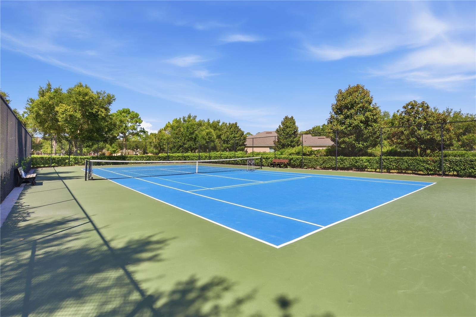 Tennis/Pickleball Court