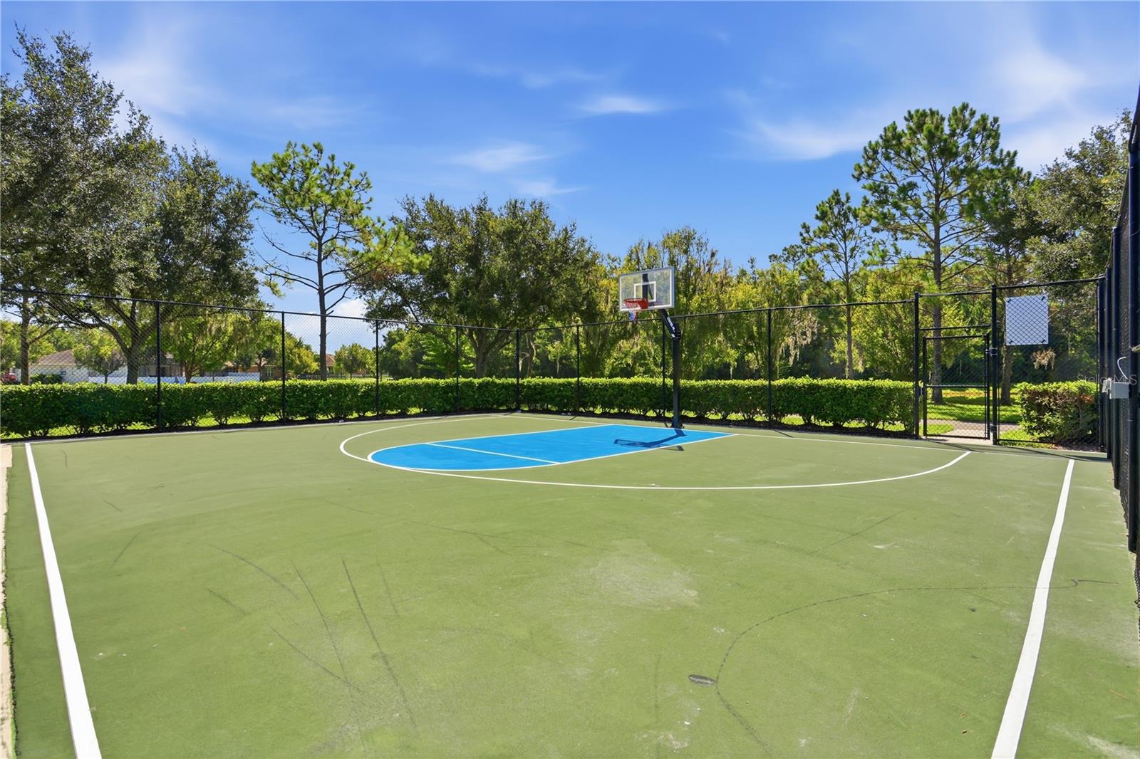 Basketball Court