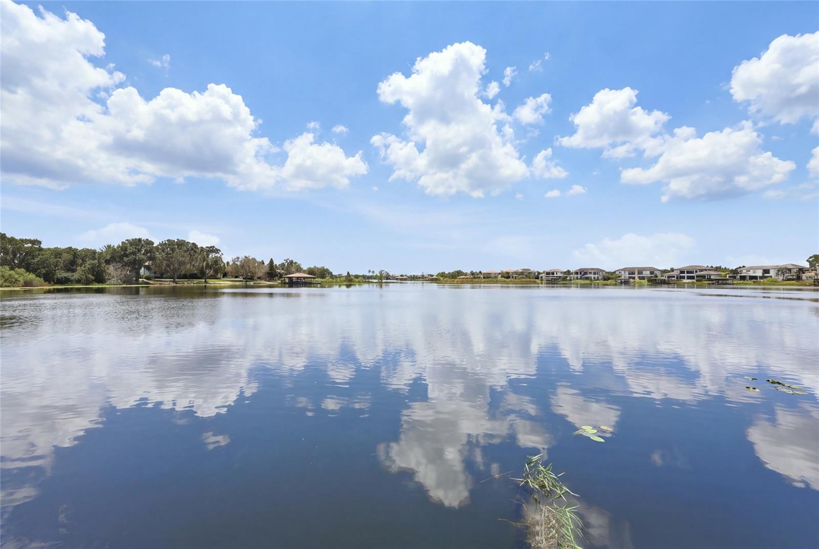 12102 MONTALCINO CIRCLE, Windermere, FL 34786
