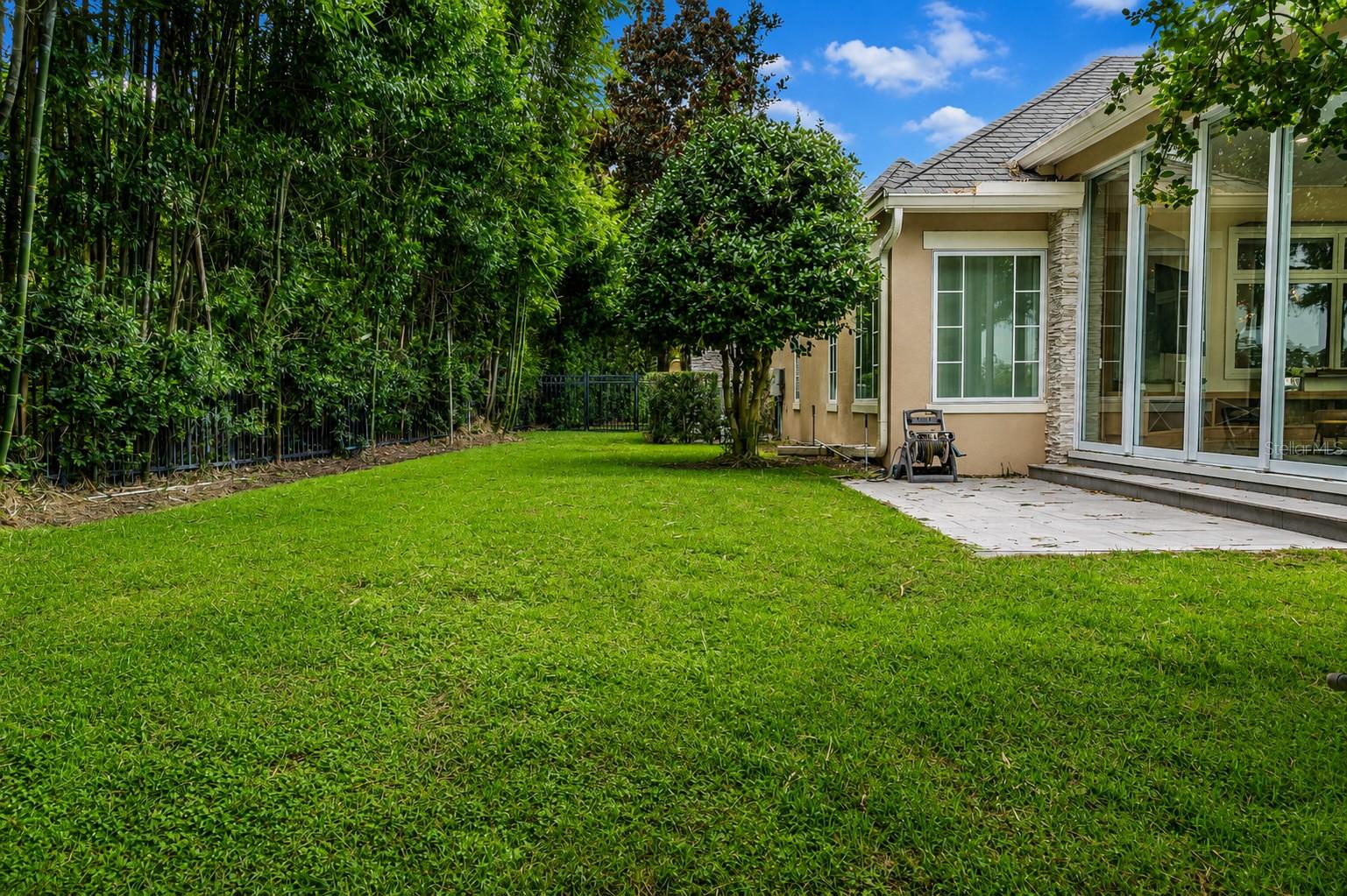 Back Yard
