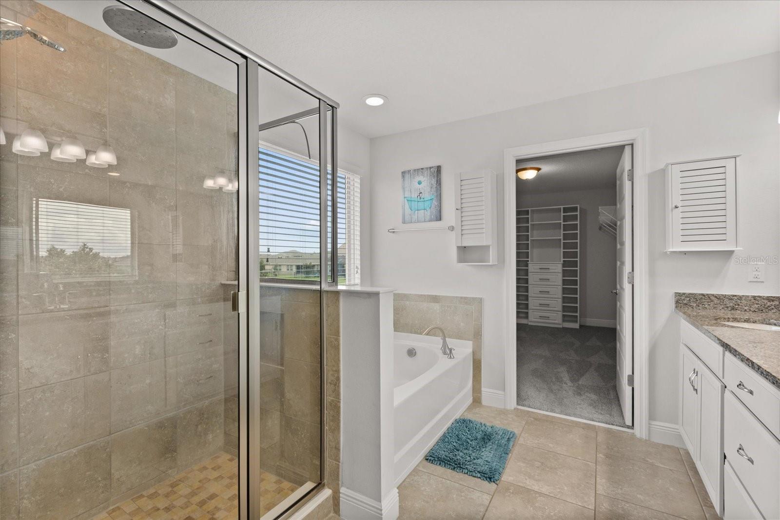 Master Bathroom Walk-in shower and separate large bathtub