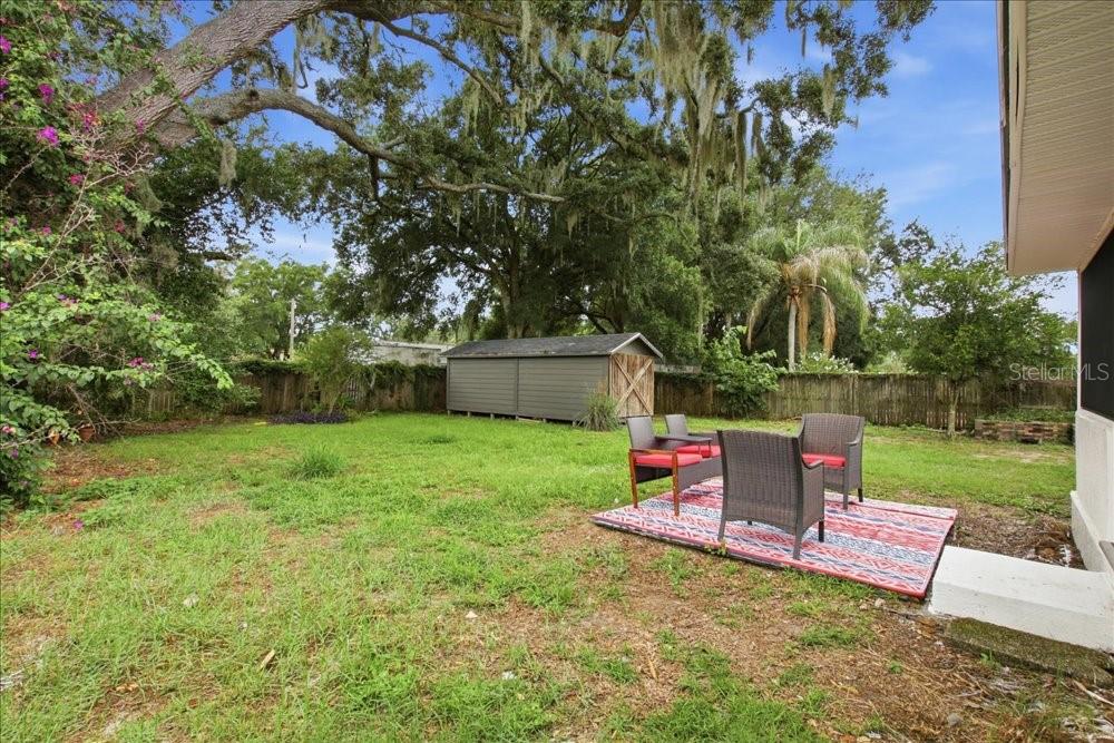 Backyard