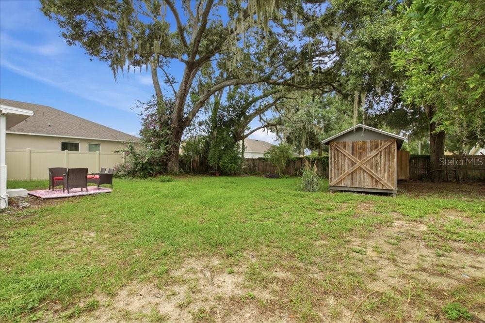 Backyard