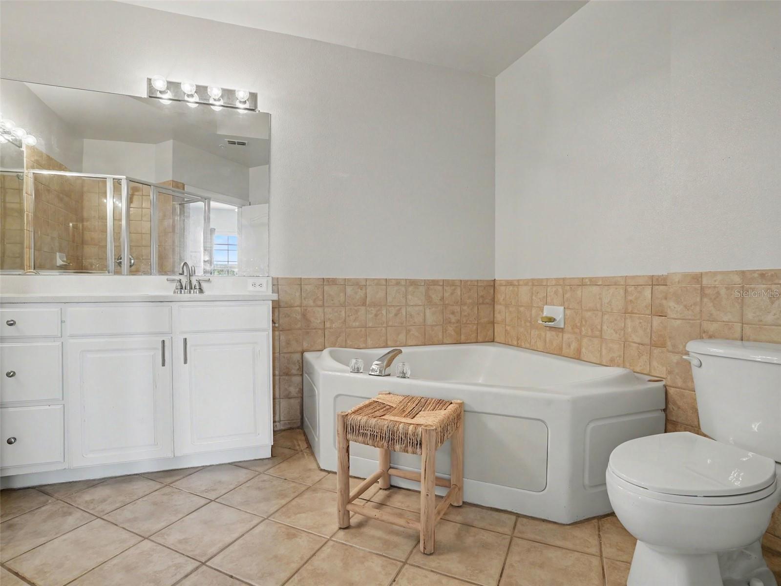 501 MIRASOL CIRCLE, #313, Celebration, FL 34747