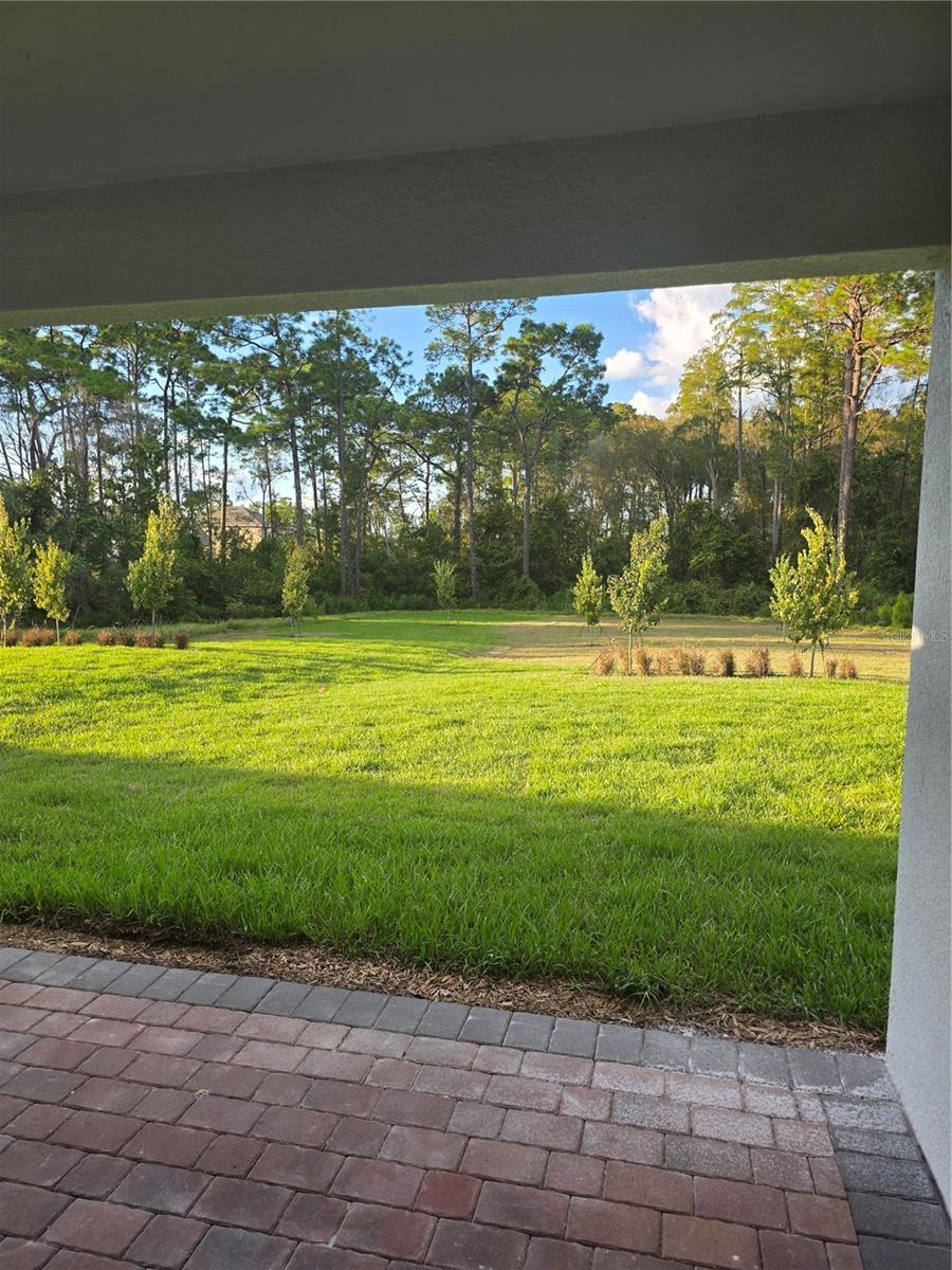 11845 SHINE VIEW LANE, Winter Garden, FL 34787