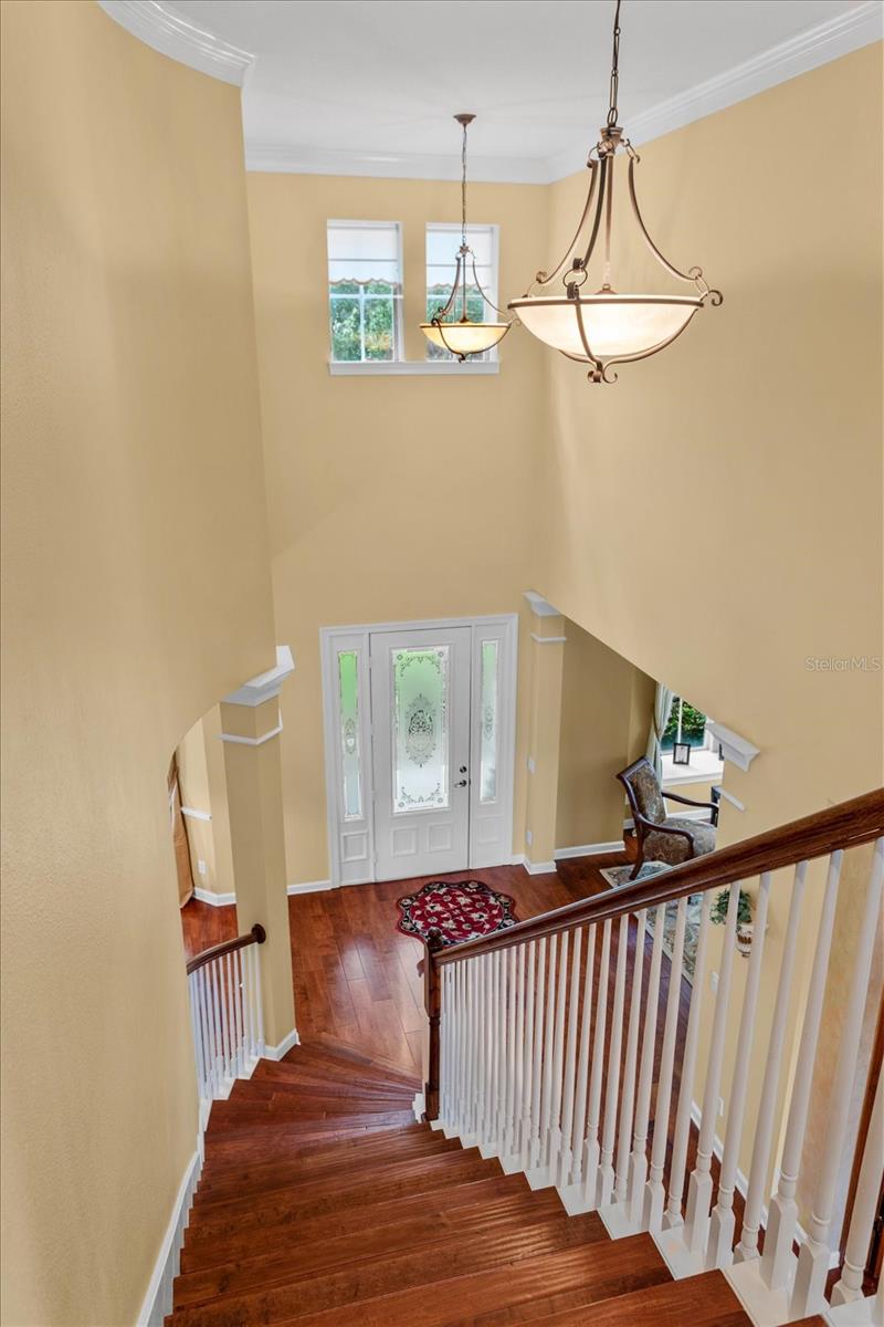 8241 TIBET BUTLER DRIVE, Windermere, FL 34786