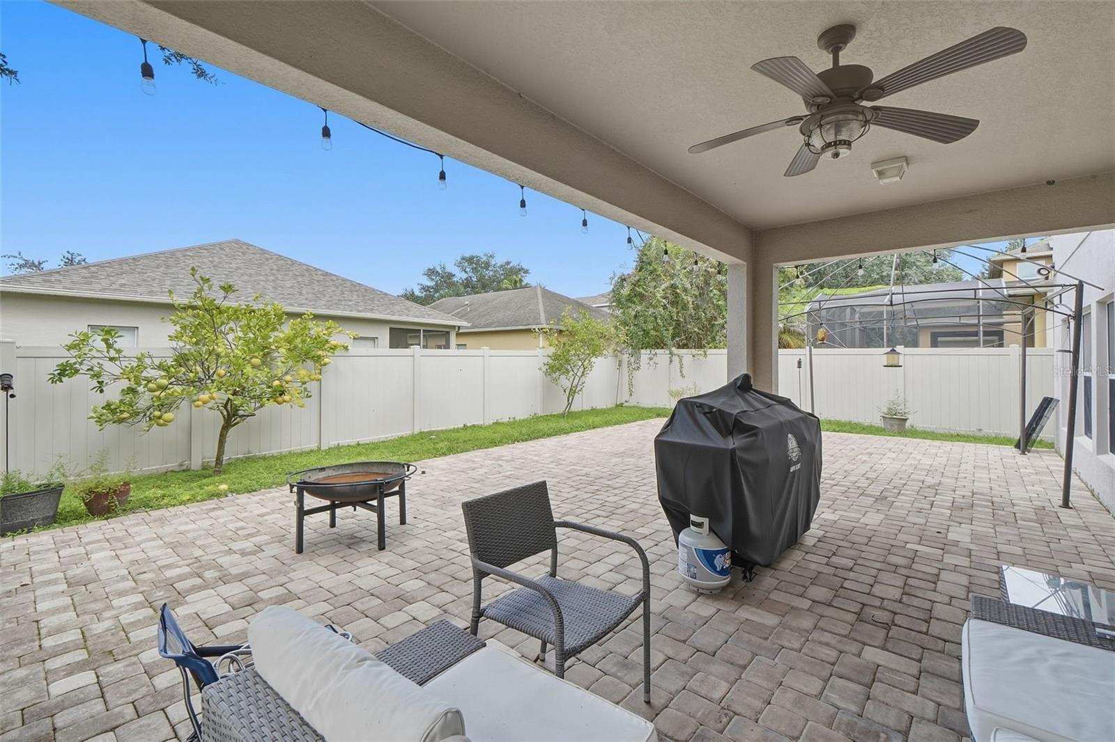 Patio/yard