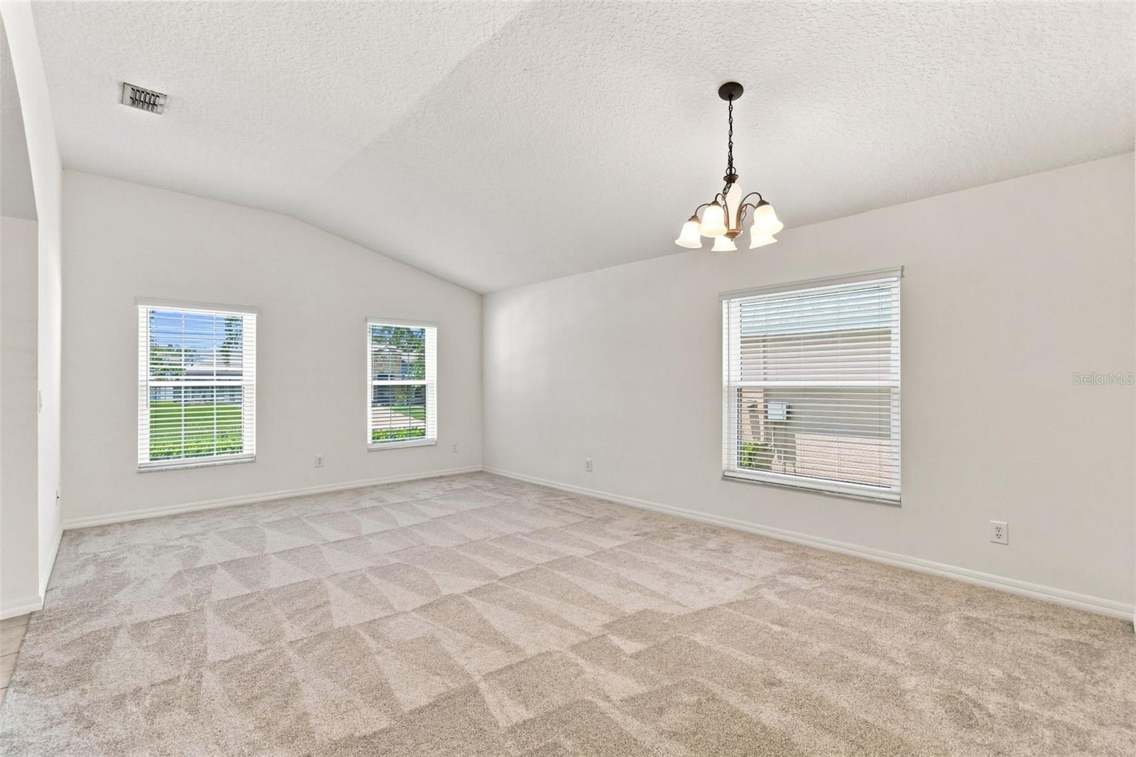 Natural Light in Dining Room