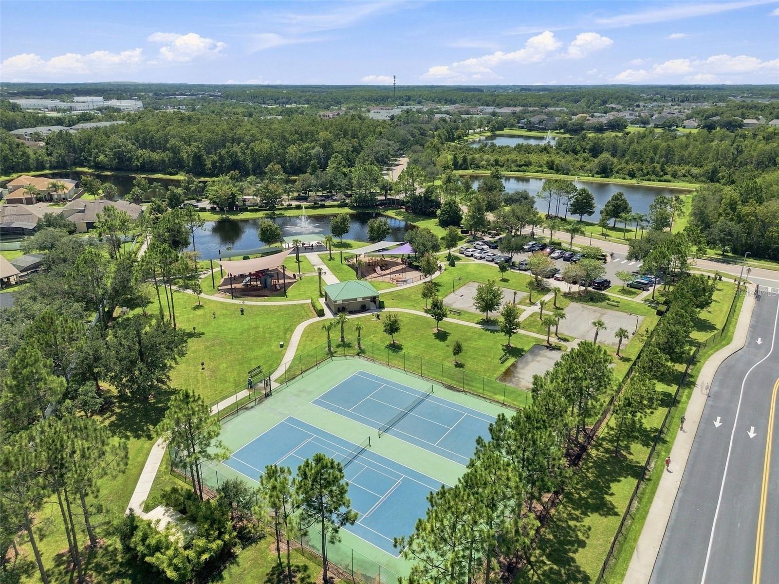 Ariel View of Community Amenities