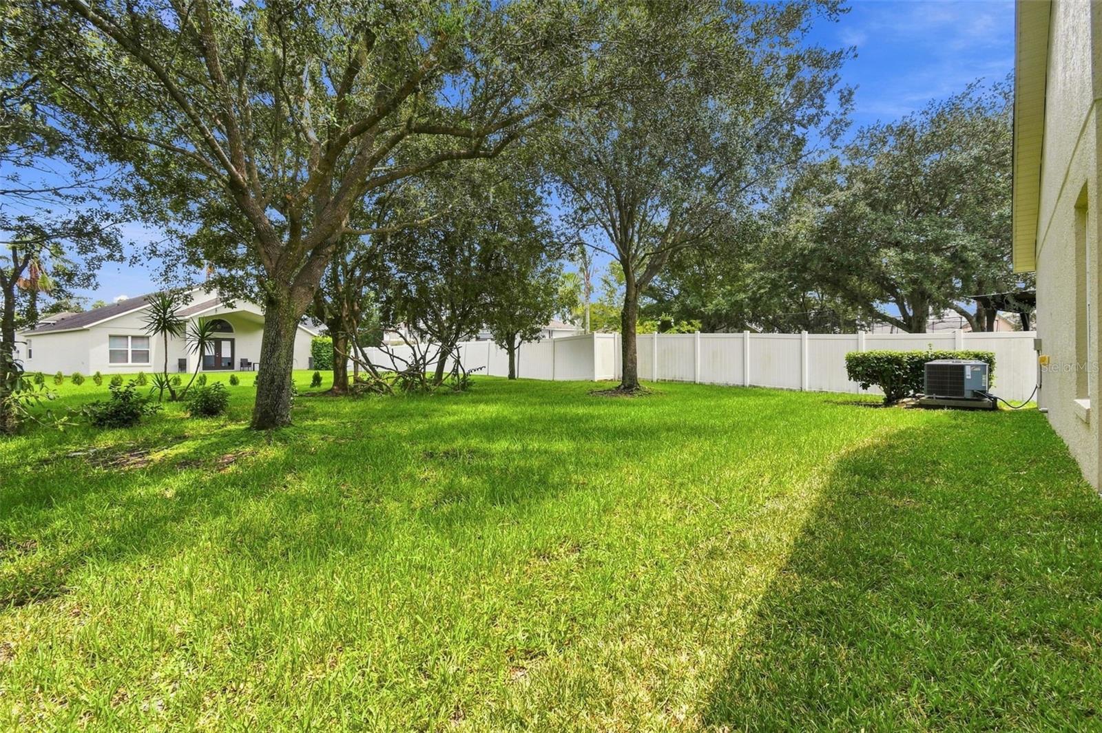Spacious Backyard