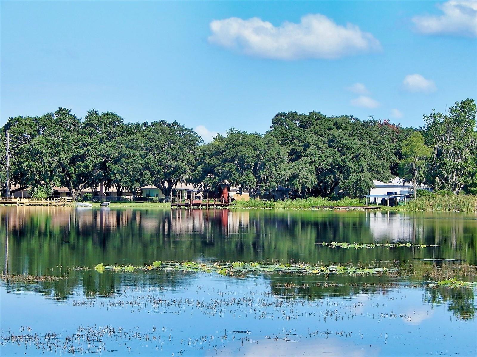 3017 BAY LAKE ROAD, Orlando, FL 32808
