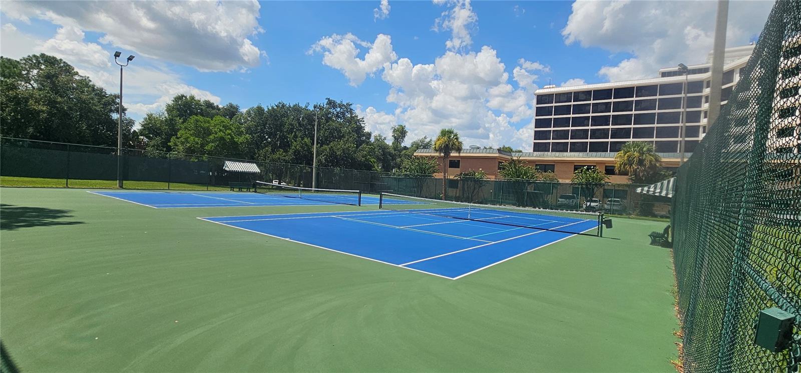 1256 MELISSA COURT, Winter Park, FL 32789