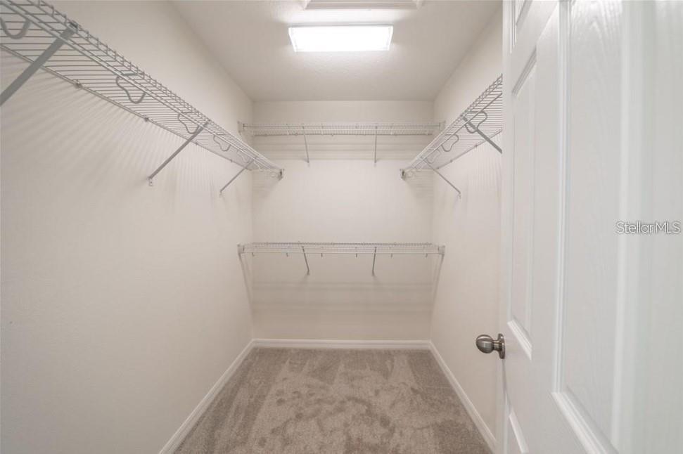 8860 HERENCIA ALLEY, Windermere, FL 34786