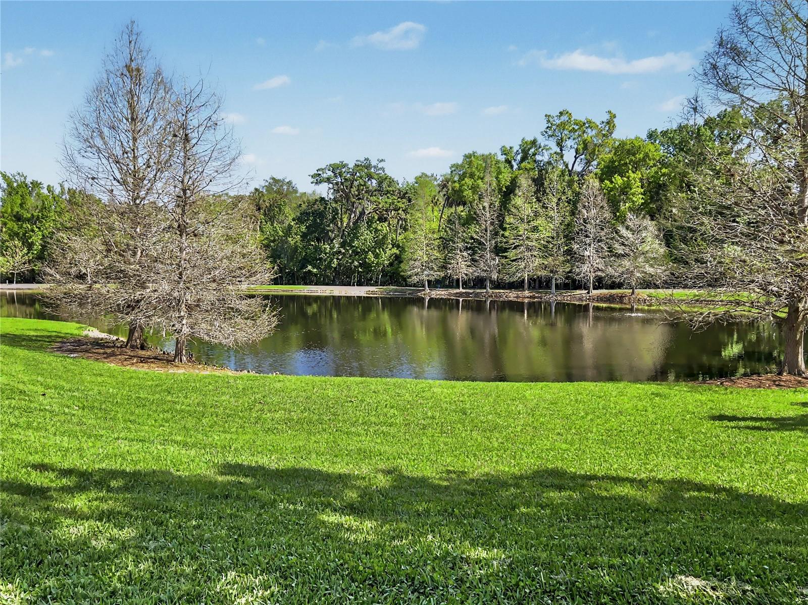 1411 CELEBRATION AVENUE, #206, Celebration, FL 34747