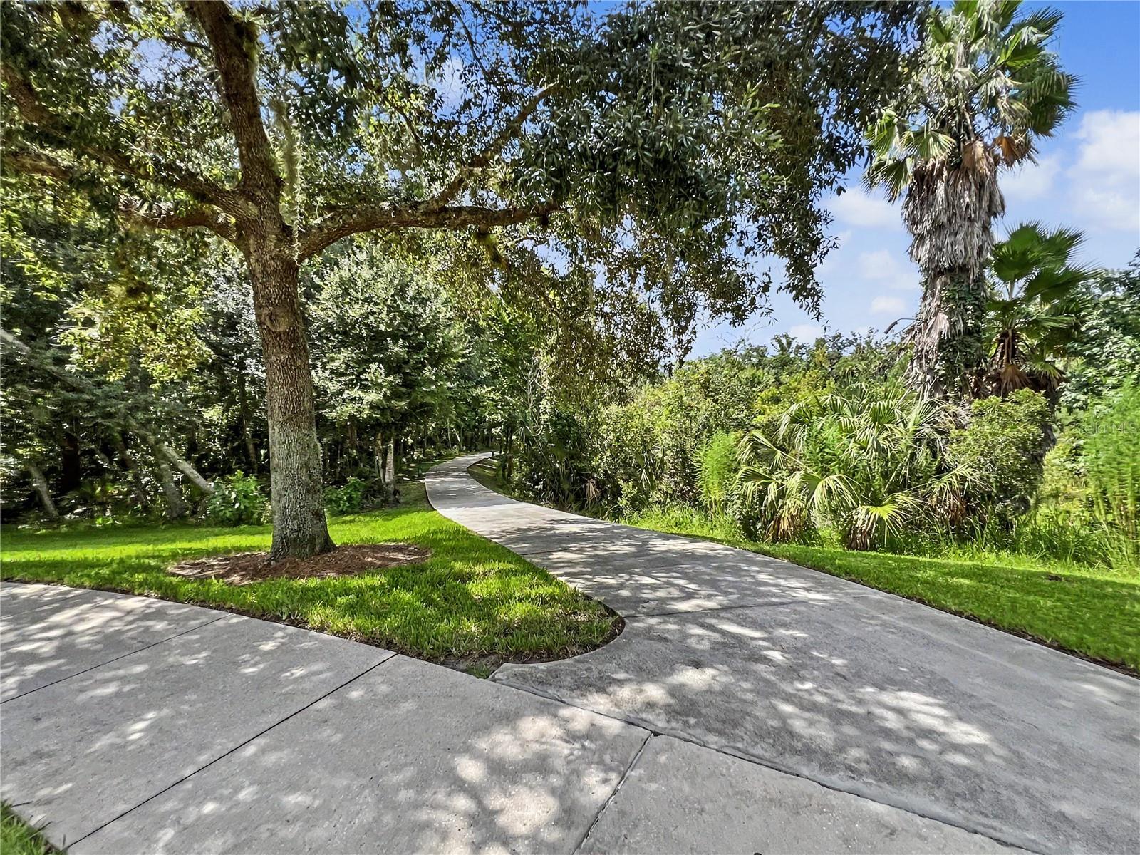 1411 CELEBRATION AVENUE, #206, Celebration, FL 34747