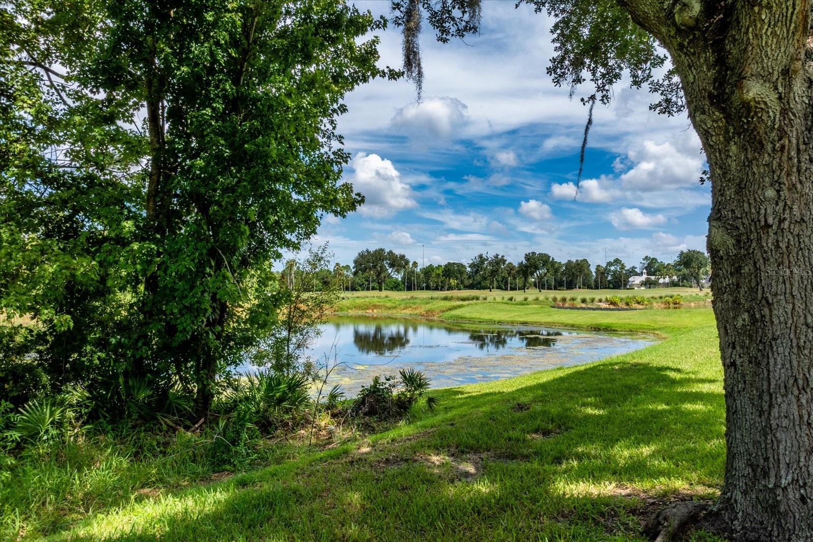 915 JASMINE STREET, Celebration, FL 34747