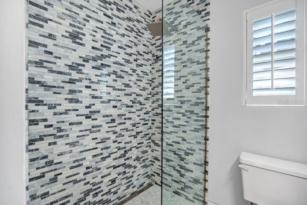 Guest Bathroom with walk-in Shower