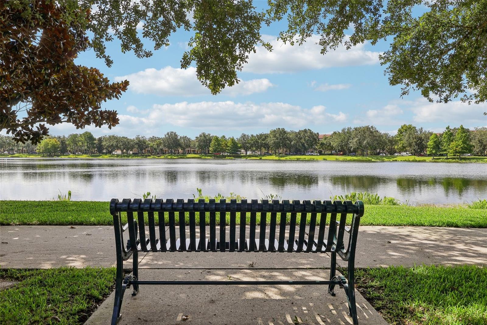 8168 BOAT HOOK LOOP, #303, Windermere, FL 34786