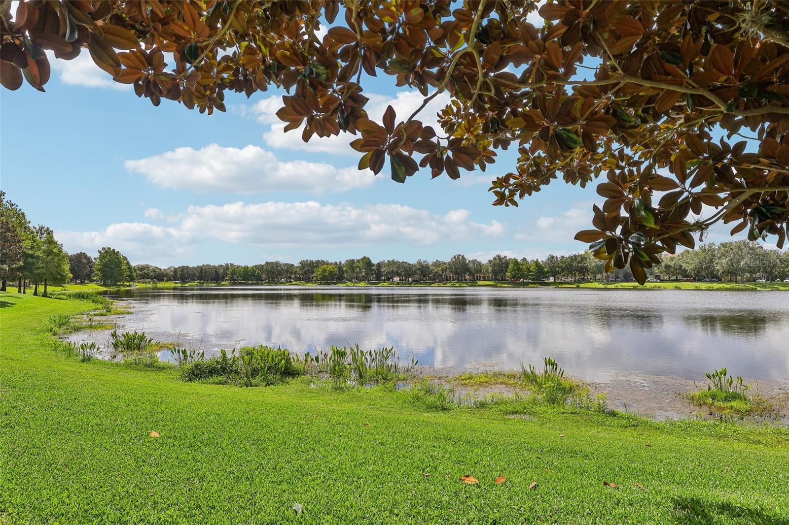 8168 BOAT HOOK LOOP, #303, Windermere, FL 34786