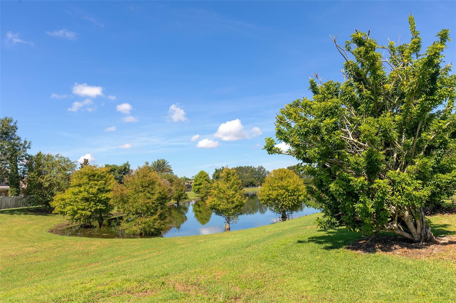 Backyard with Pond View