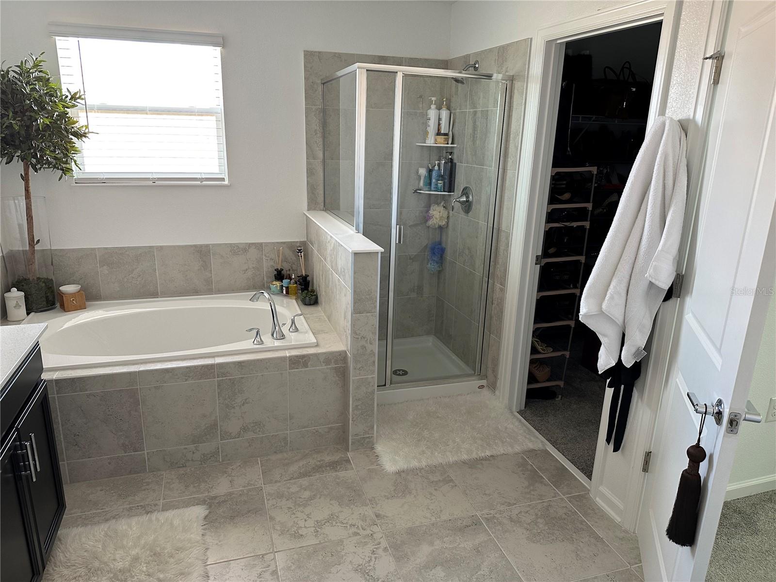Master bath 1
