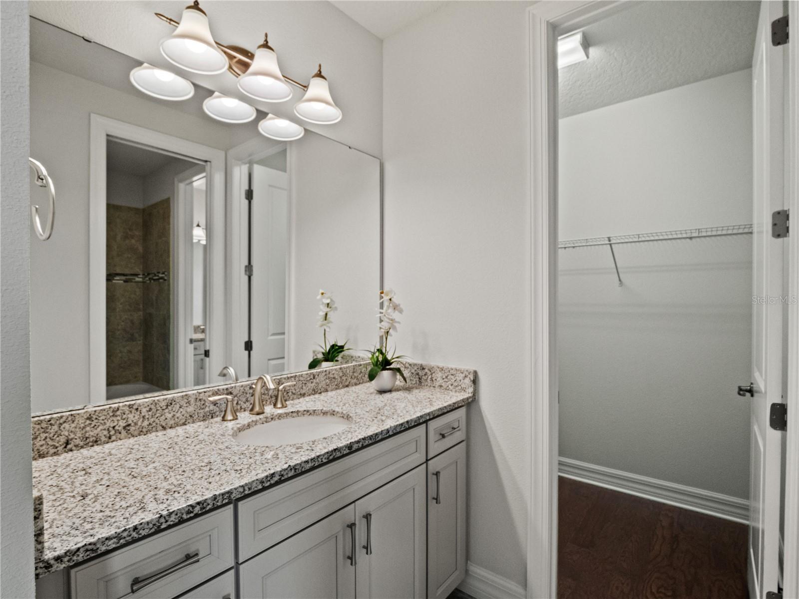 Jack & Jill Bathroom