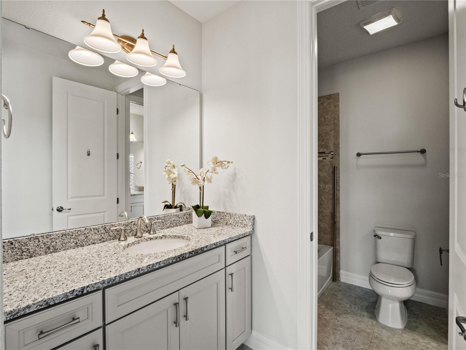Jack & Jill Bathroom