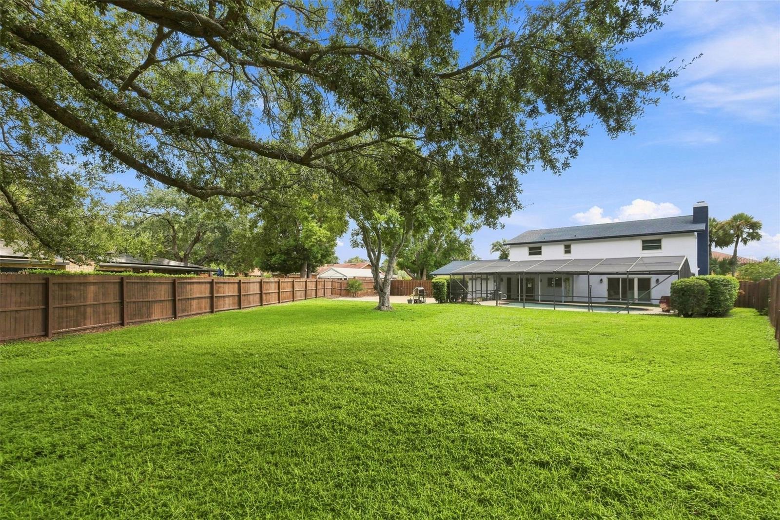 Backyard