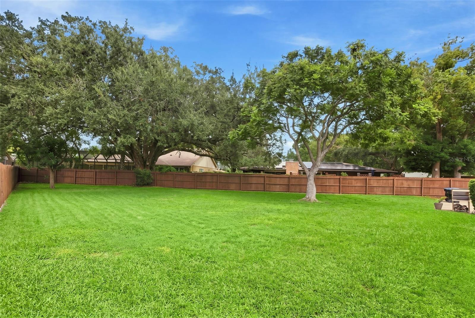 Backyard
