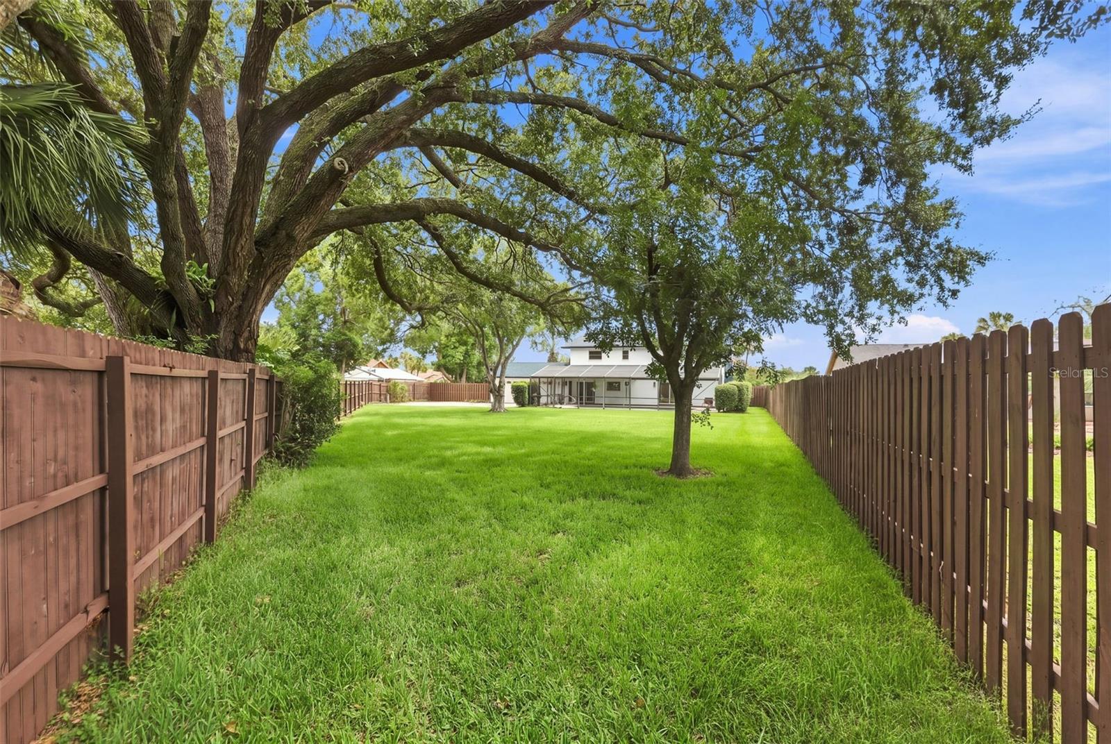 Backyard