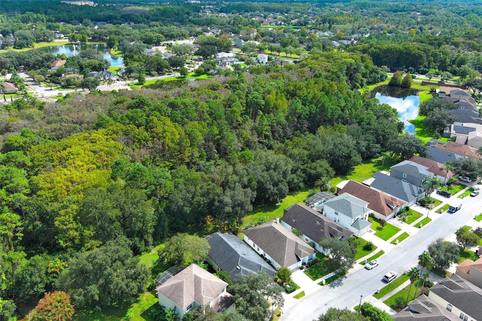 Aerial Views