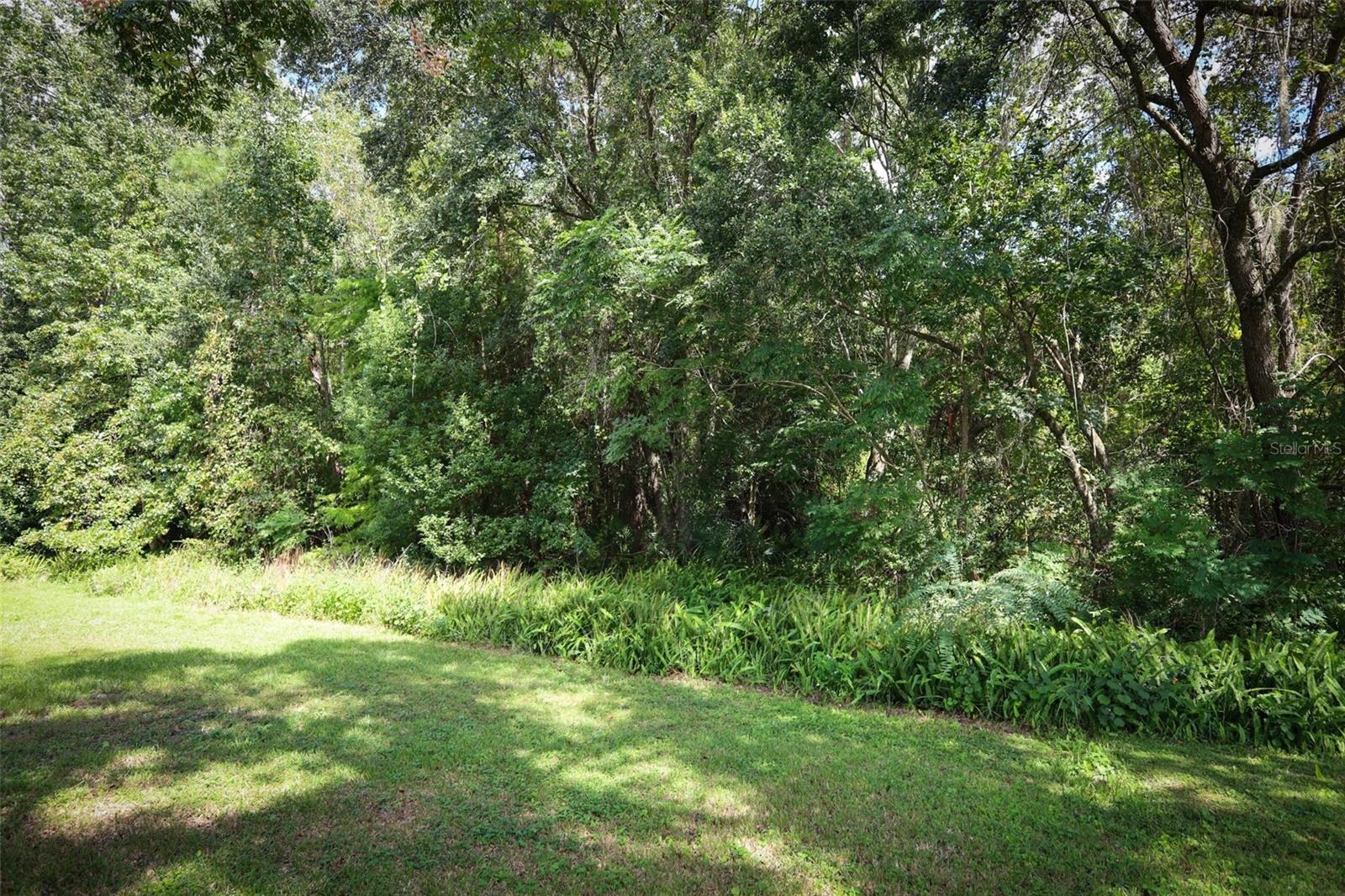 Conservation Area