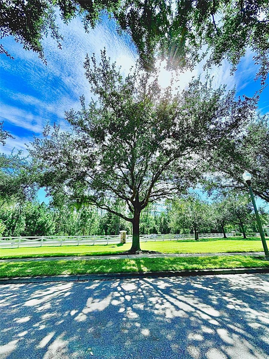12417 CRUXBURY DRIVE, Windermere, FL 34786