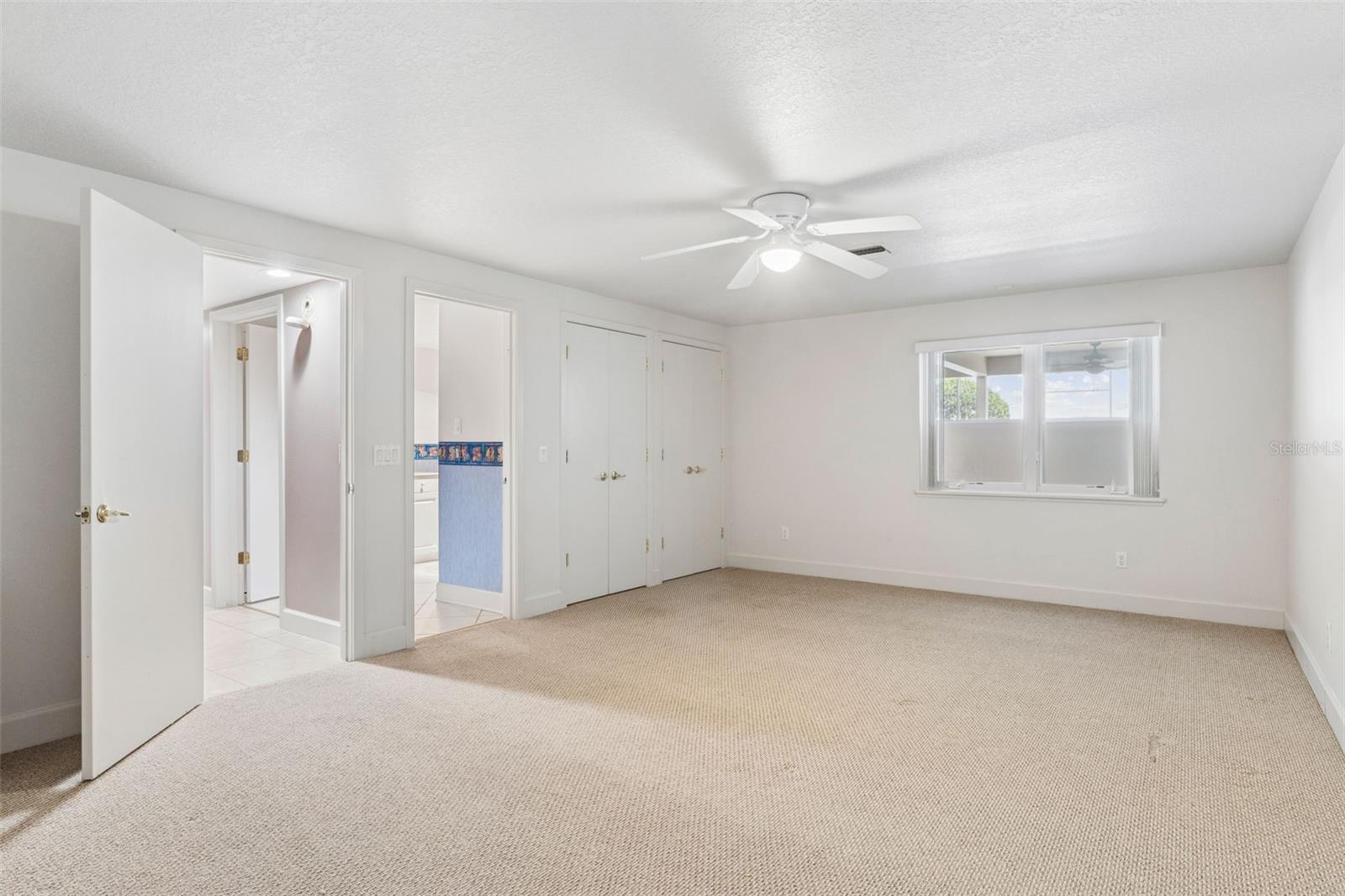 Basement bedroom with closet space and attached full bathroom.