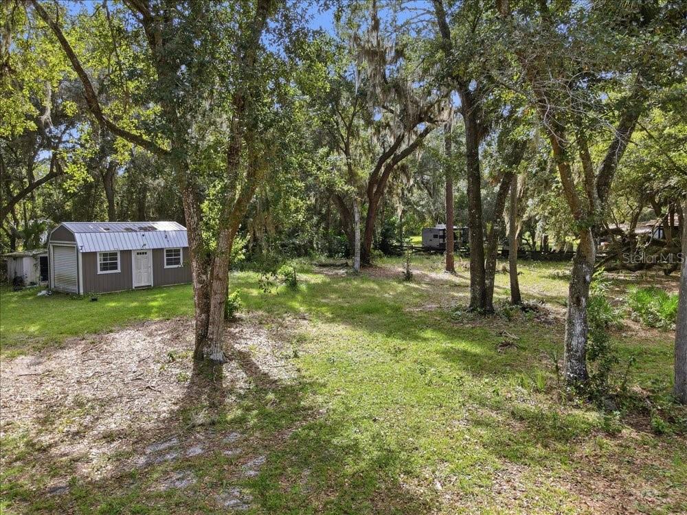 Backyard Aerial